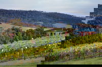 De Bortoli Winery  Restaurant