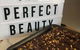 Just Perfect Beauty - thumb 7