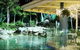 Ocean International Hotel - thumb 3
