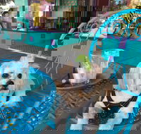 Amber Sweet Bliss - Bridge Guide