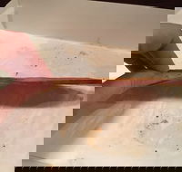 Burnsie's Pizza - Bet 4u