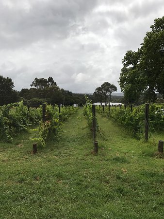 Upper Beaconsfield VIC Click Find