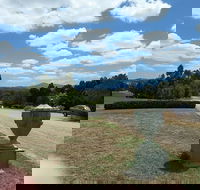 Dominique Portet - Bet 4u