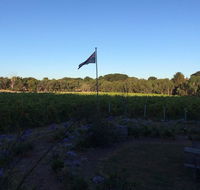Lazzar Wines - Click Find
