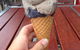 Splash Ice Cream - thumb 0