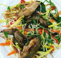 Tuileries Restaurant - Bet 4u
