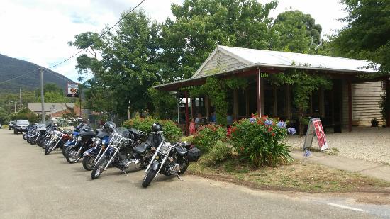 Jamieson VIC Lavinia