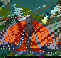 Skydancers Garden Gift Cafe - Bet 4u