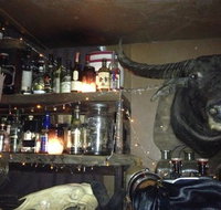 Shady Pines Saloon - Lawyer Find