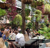 The Potting Shed - Lawyer Find