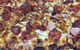 Manoosh Pizza - thumb 0