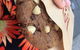 MRS Fields Bakehouse - thumb 0