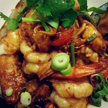 Mcmahons Point NSW Bet 4u