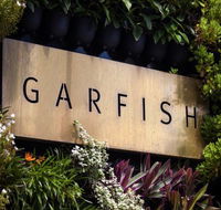 Garfish - Bet 4u