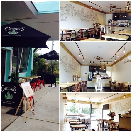 Big Tree House Pty Ltd - Bridge Guide 0