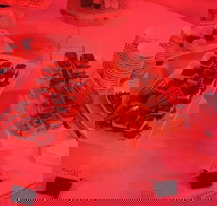 Belicious Indian Restaurant - Bet 4u