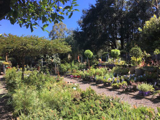 Yatte Yattah NSW Click Find