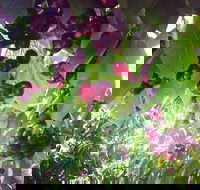 Sister's Rock Restaurant