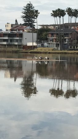 The Melting Room - Bridge Guide 0