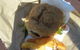 Killalea Park Kiosk - thumb 0
