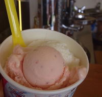 Bermagui Gelati Clinic - Click Find
