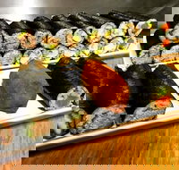 Freewave Sushi  Burgers - Lawyer Find