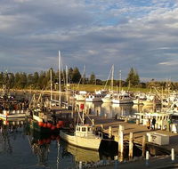 Horse  Camel - Click Find