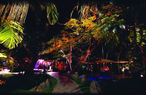 Poinciana - Click Find 0