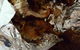 Thunderbird Chicken - thumb 0