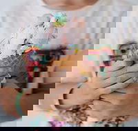 Get The Scoop Gelato Bar - Click Find