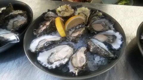 Hamilton's Oyster Bar - Click Find 0