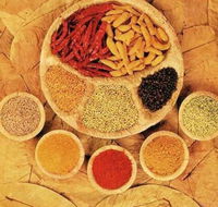 Tehzeeb Indian and Australian Restaurant - Click Find