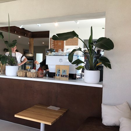 Wild Orchid Cafe - Click Find 0