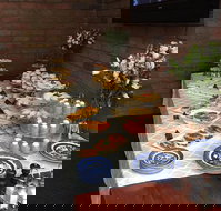 Colony Inn Hotel - Click Find