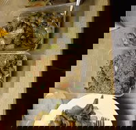 Holbrook Chinese Restaurant - Click Find