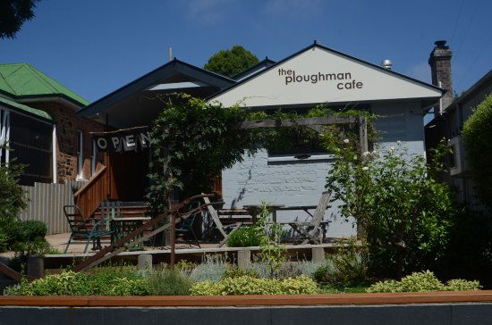 Taralga NSW Lavinia