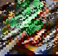 Ducks Nuts - Click Find