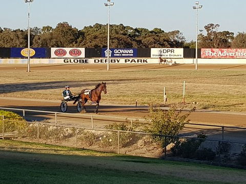 Paceway - Bet 4u 0