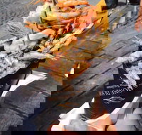 Dimattina Coffee - Reservoir - Bridge Guide