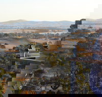 DogRock Winery - Bet 4u