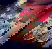 Filosofy - Who Is Search