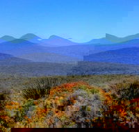 Arcadia Wines - Click Find