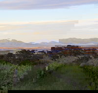 Castle Rock Estate Winery - Click Find
