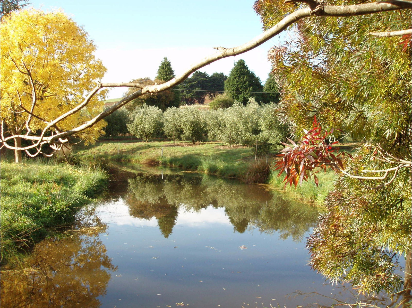 Abbotsham TAS Bet 4u