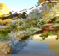 Cradle Coast Olives - Bet 4u