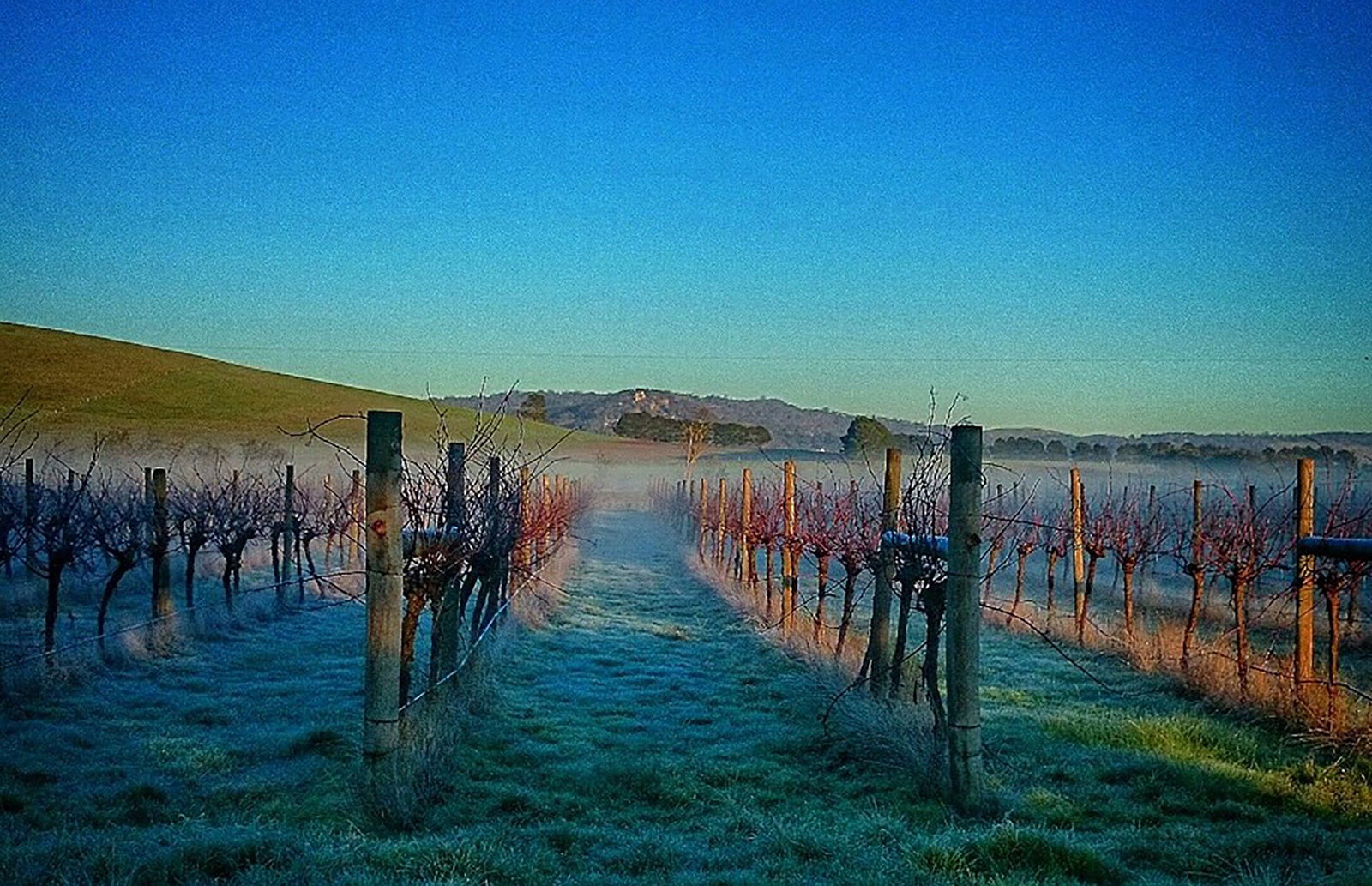 Coghills Creek VIC Click Find