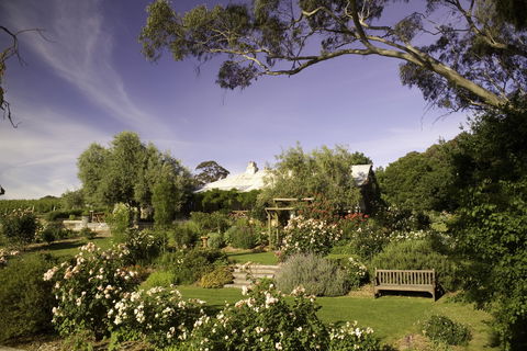 Skillogalee Winery & Restaurant - Bet 4u 0