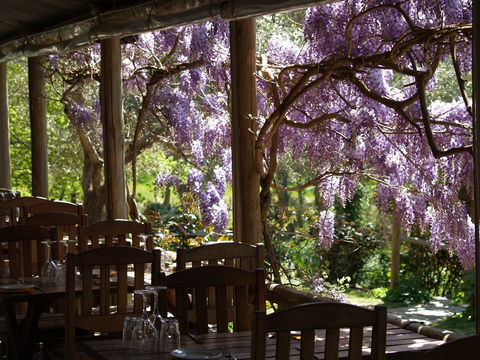 Skillogalee Winery & Restaurant - Bet 4u 2
