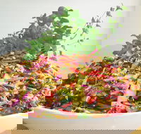 Sublime Cafe - Click Find