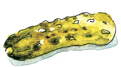 Gherkin Garden By Bethany Wines - Click Find 1